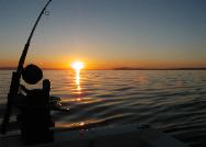 Fly Fishing for Pacific Salmon