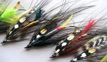 Heron Feathers