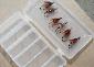 Steelhead and Salmon Fly Kits