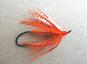 Lantern Flies