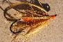 Coastal Trout Flies