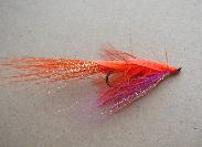 Alaskan Coho on the fly